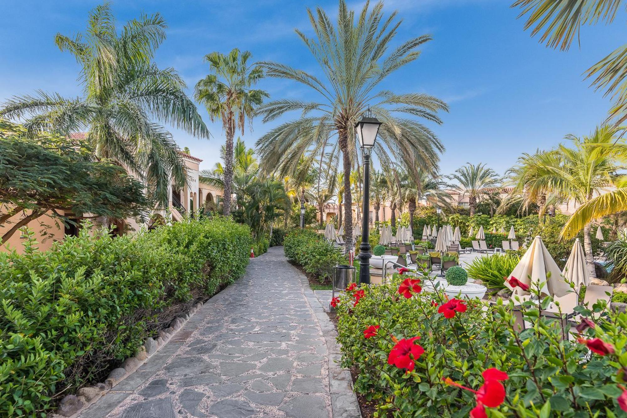 Hotel Palm Oasis 3*