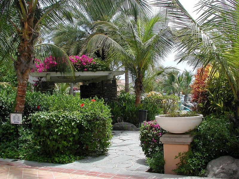 Hotel Palm Oasis 3*