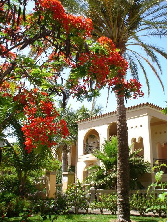 Palm Oasis