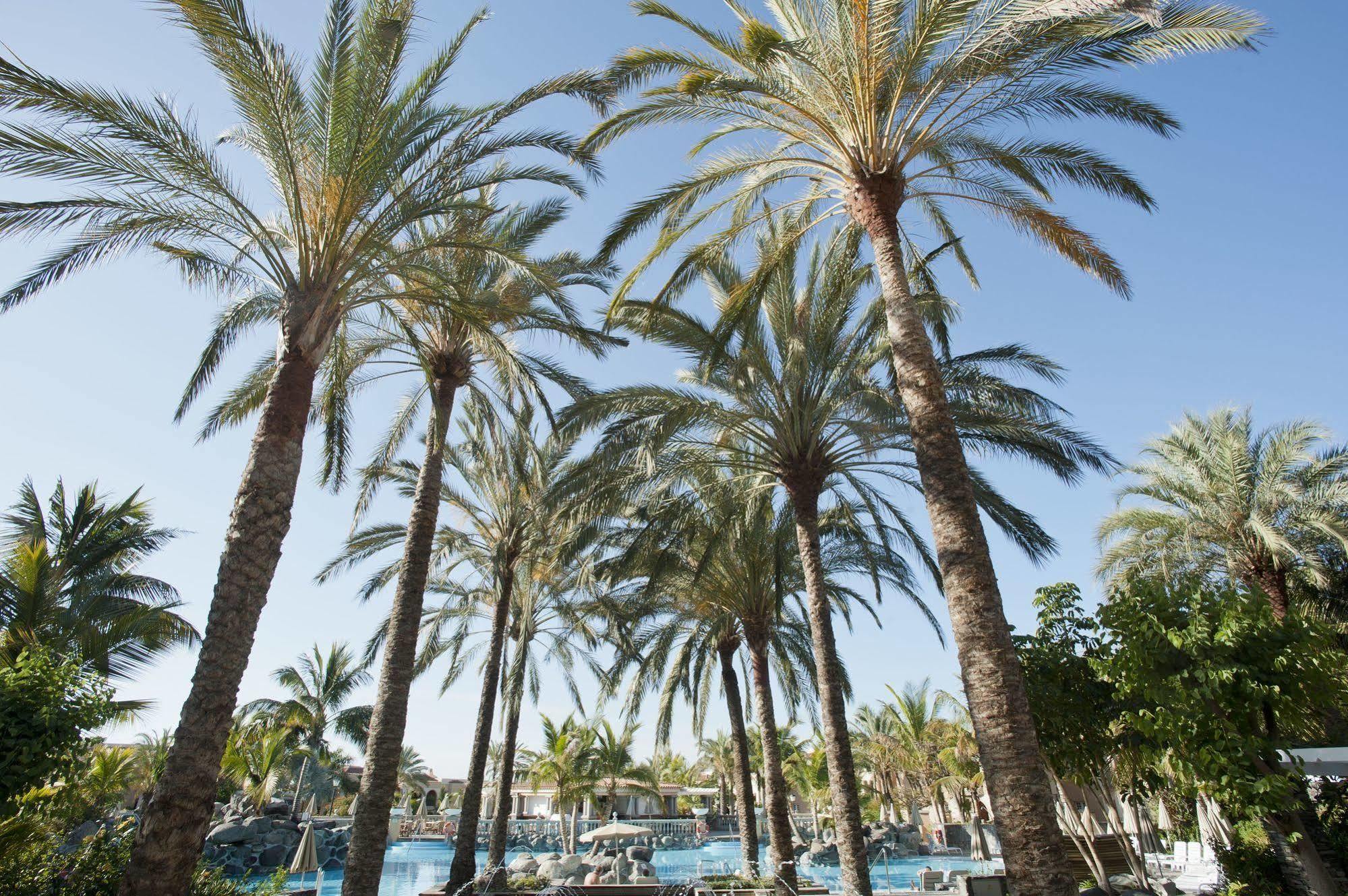 Palm Oasis Hotel