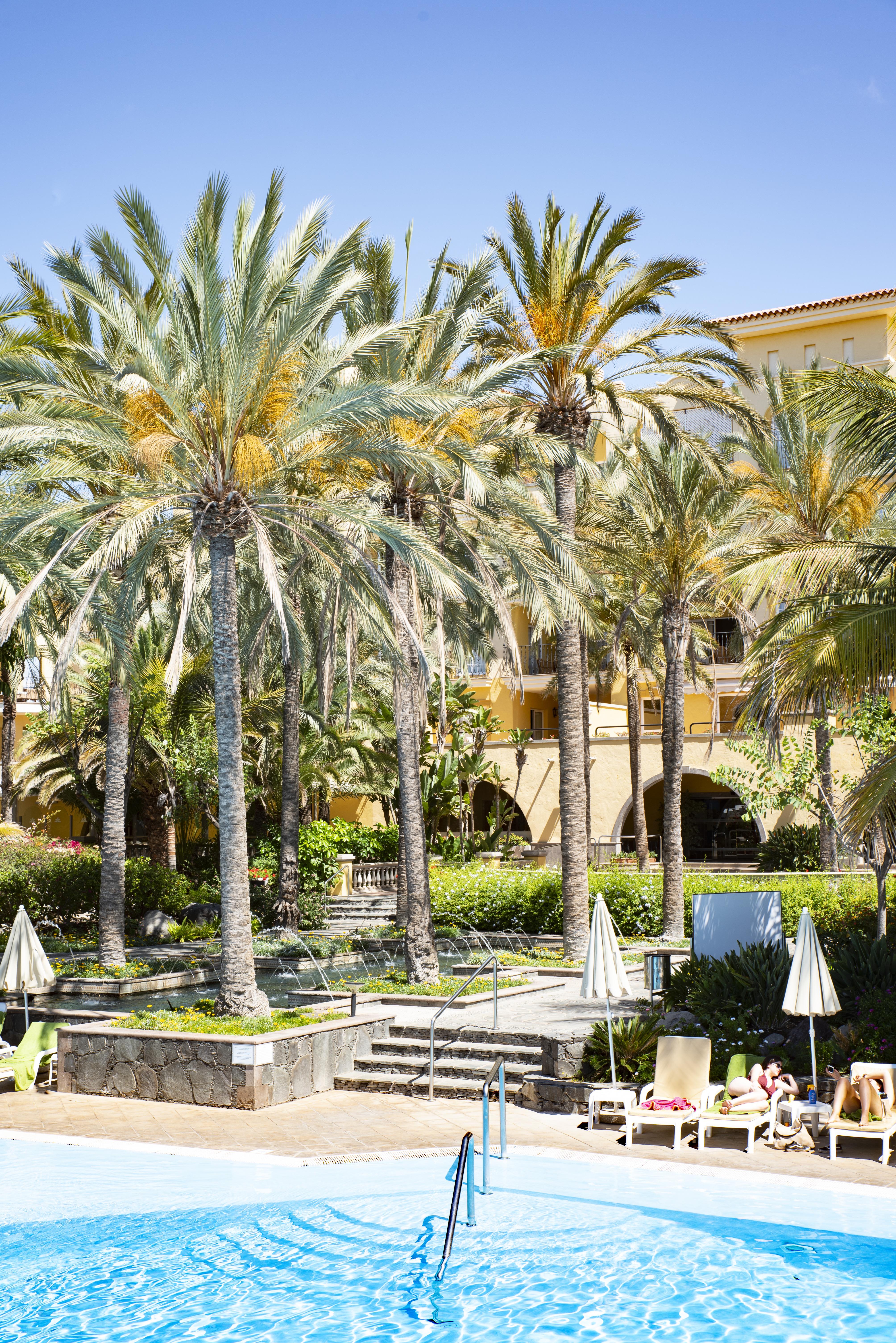 Hotel Palm Oasis